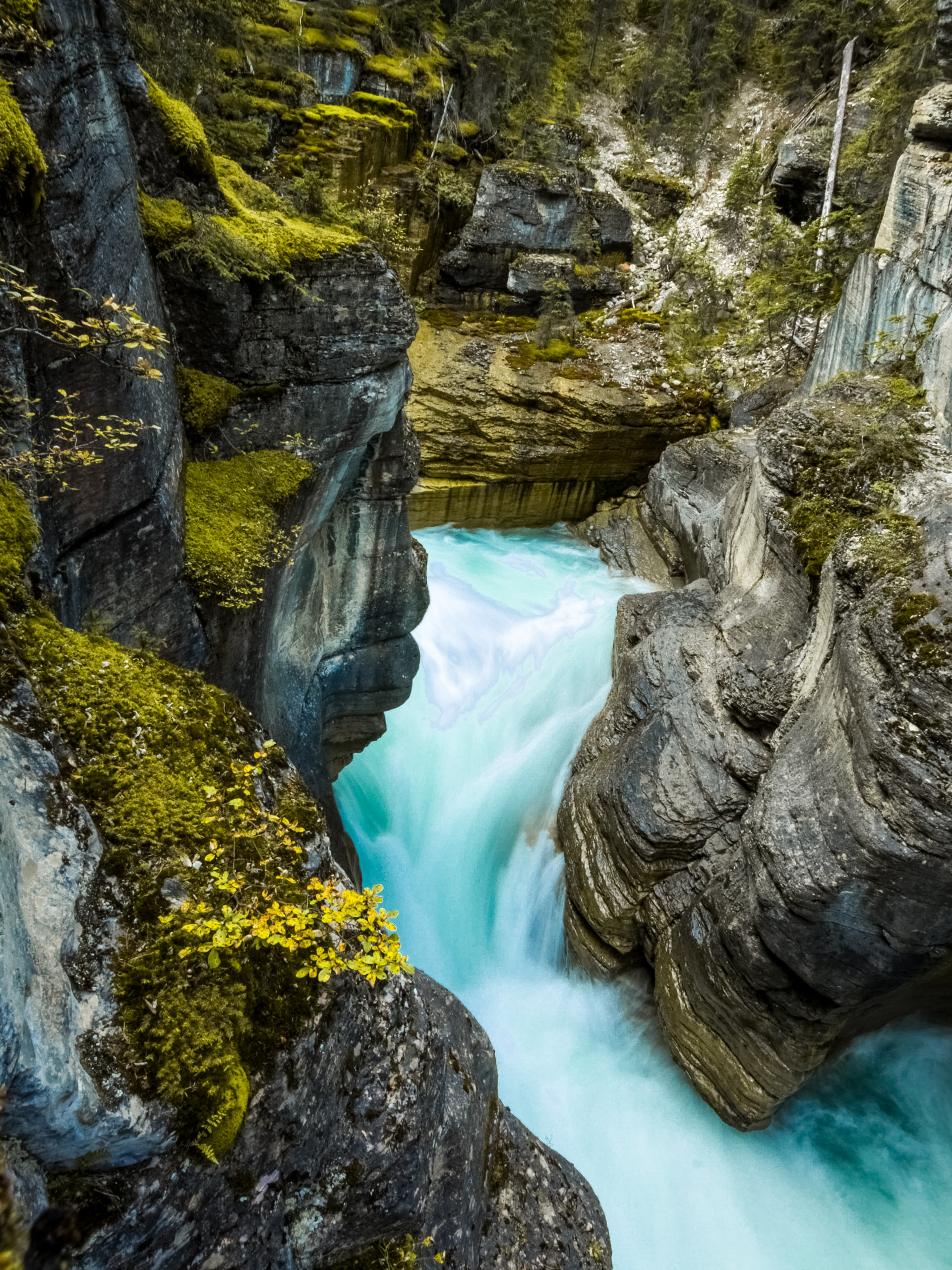 Mistaya Canyon turquoise waterfalls hiking trail Banff National