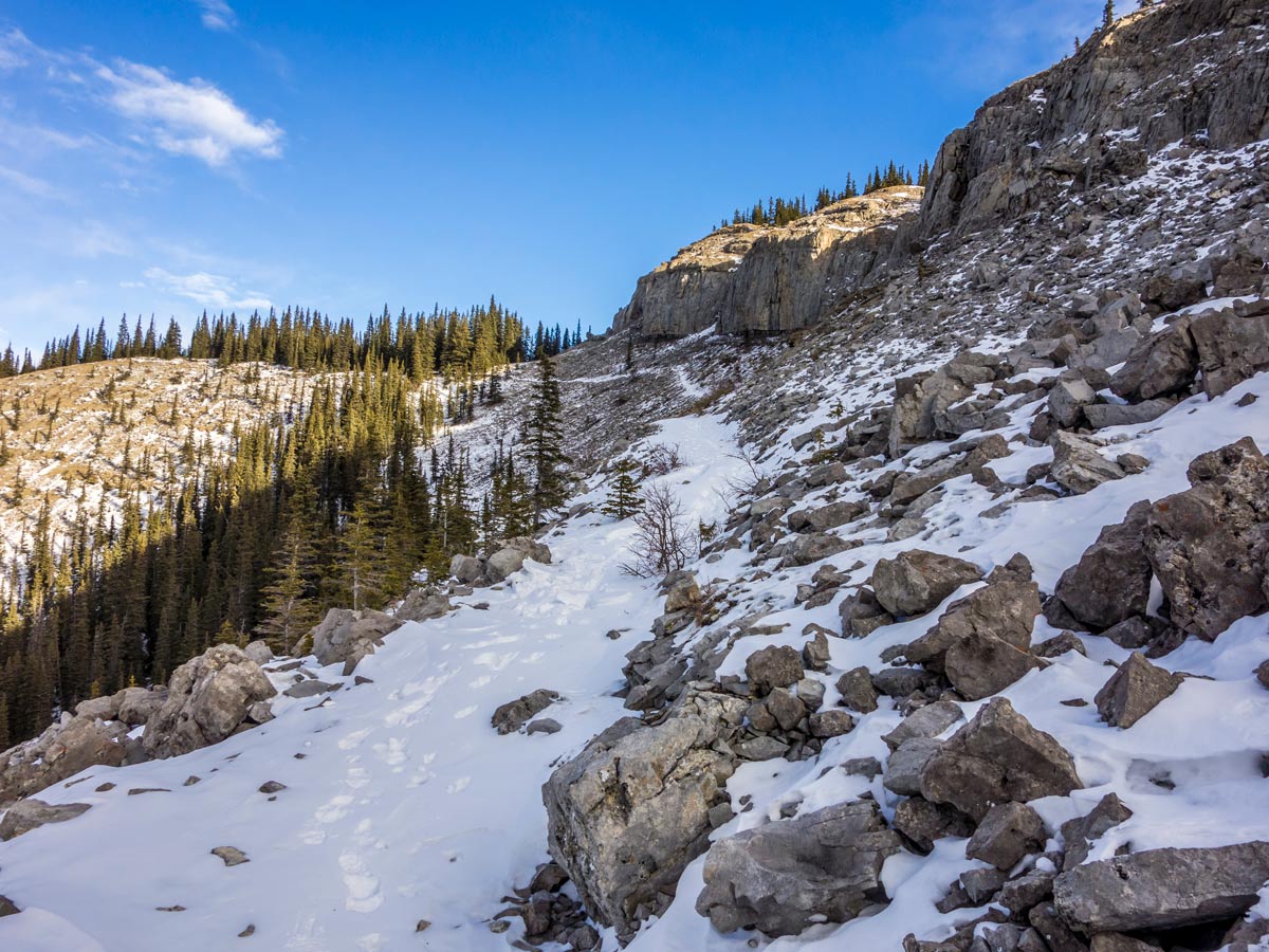 Trail contours around the southern summit of Coliseum Mountain scramble near Nordegg, Alberta