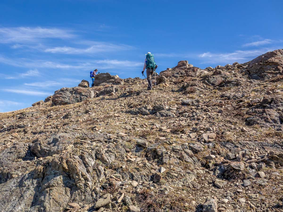 Two hikes approaching the top of Allstones Ridge on a scramble near David Thompson Hwy