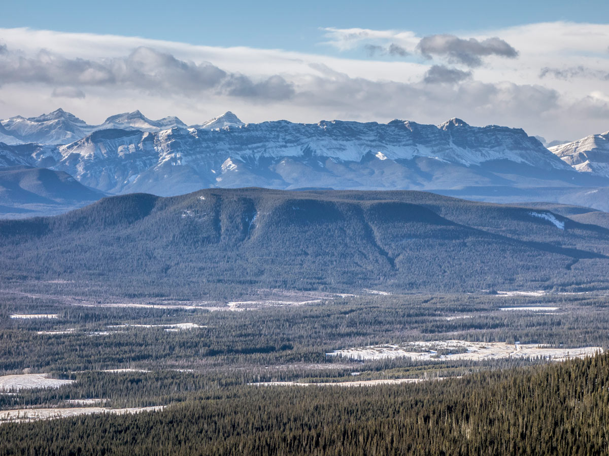 Beautiful views of the sharp ridge seen on Coliseum Mountain scramble near Nordegg Alberta