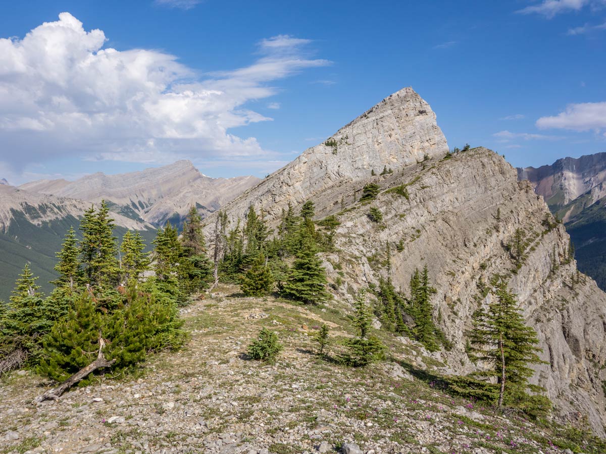 Walking on top of the ridge of Vision Quest Ridge scramble in David Thompson Scrambles Canada