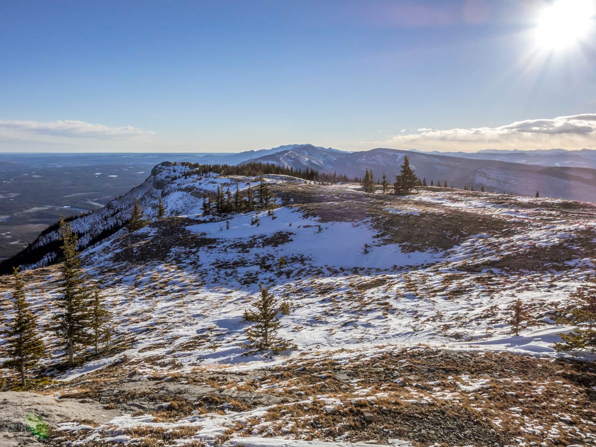 Coliseum Mountain scramble near Nordegg has amazing views of the surrounding ridges