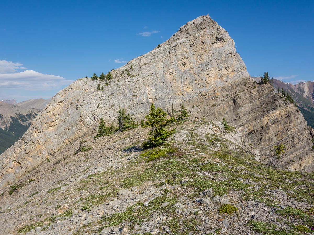 Walking on the top of the ridge on Vision Quest Ridge scramble near David Thompson Hwy