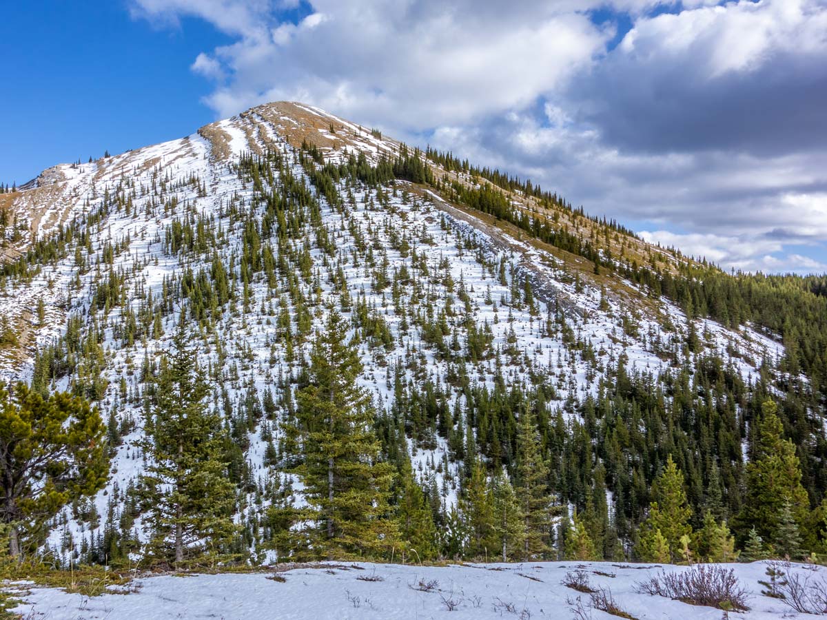 Looking at snowy peaks surrounding Eagle Ridge and Peak Scramble Trail