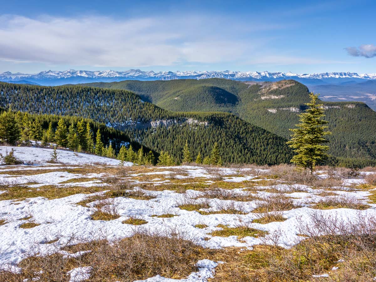 Looking at the mountains in the distance on Eagle Ridge and Peak Scramble near Nordegg