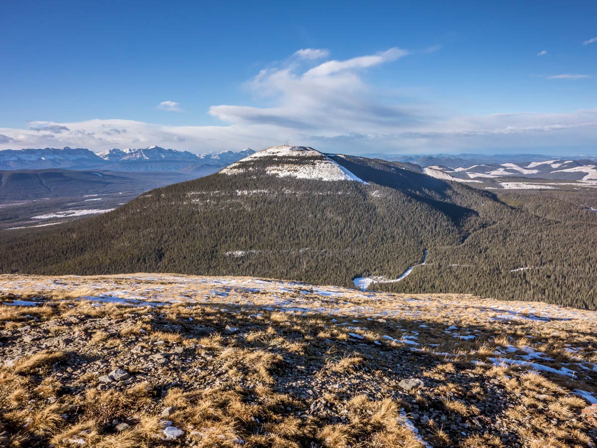 Coliseum Mountain scramble near Nordegg has beautiful views to the north