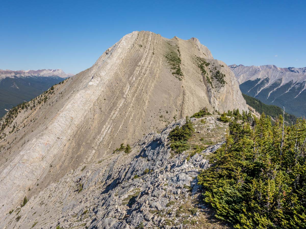 Looking at Mt Stellfox from the Coral Ridge Trail