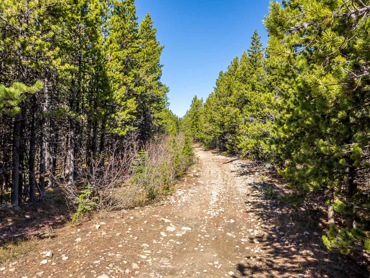 The trail of Ram Mountain near Nordegg leading to the top