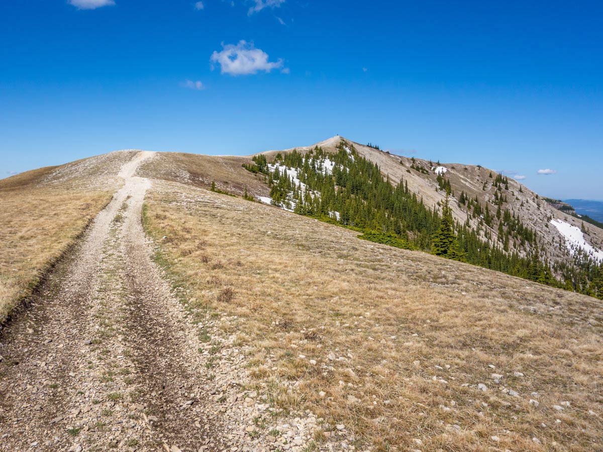 Wide path of Ram Mountain hike in David Thompson Scrambles Canada