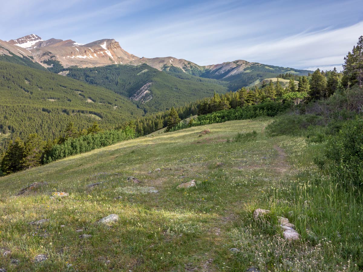 Here path on left leads to Kinglet Lake and path on right to Tuff Puff Ridge