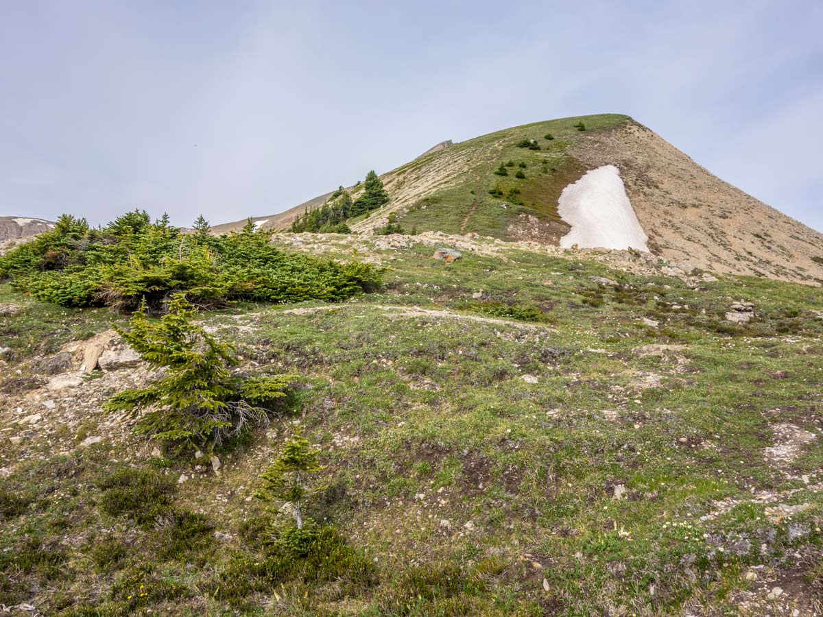 Slowly approaching the top on Tuff Puff Ridge scramble near David Thompson Hwy