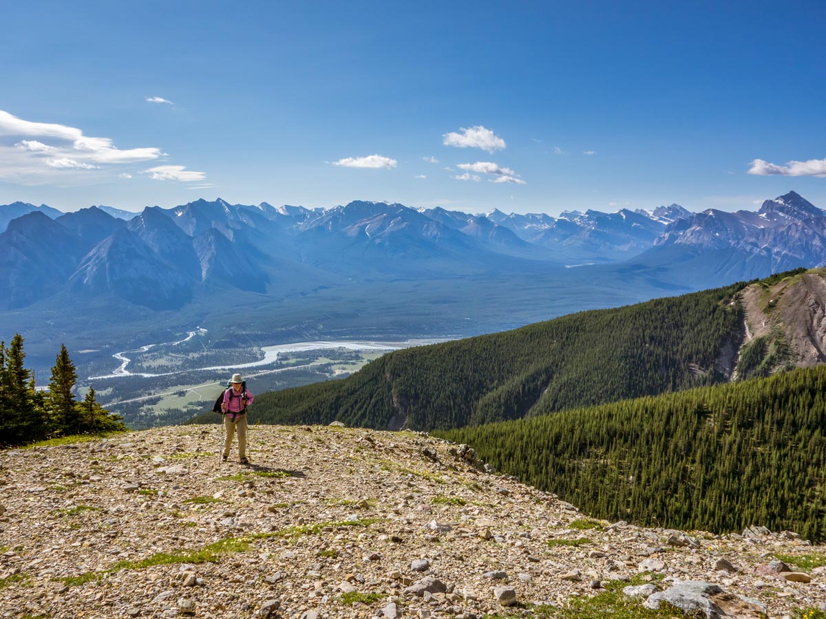 Two O clock Ridge Scramble is a beautiful trail near Lake Abraham