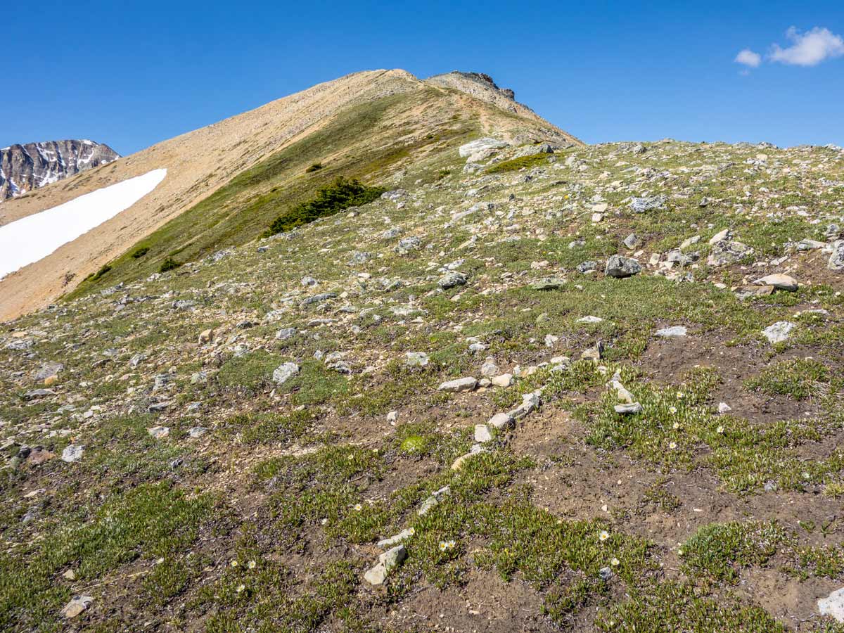 Arrow made from rocks on Two O clock Ridge Trail near Nordegg