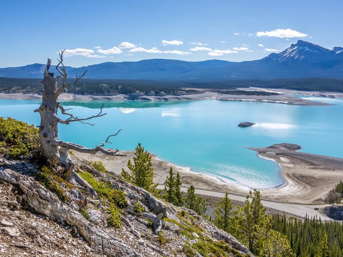 Stunning view of Abraham Lake on Windy Point Ridge Hike