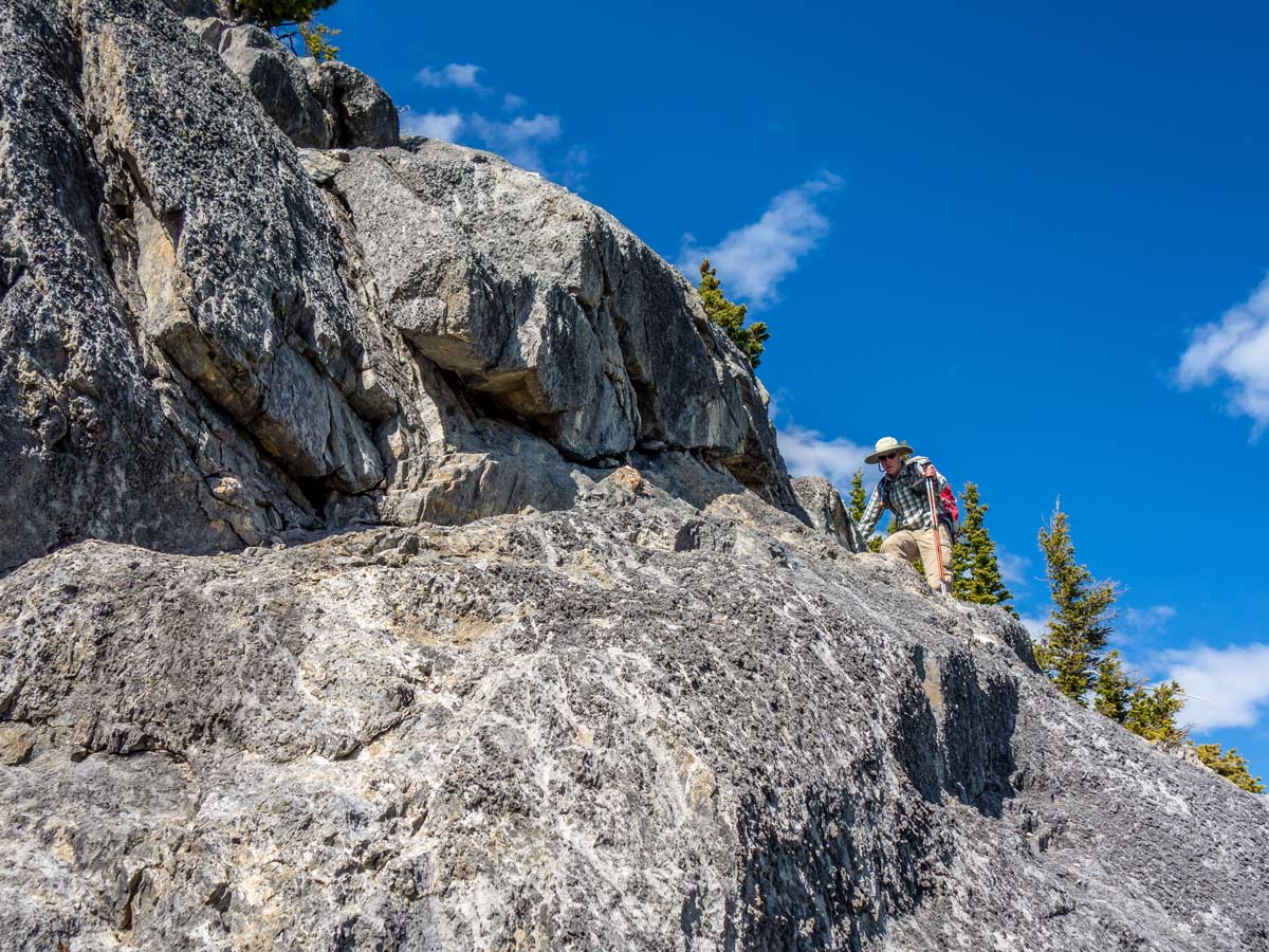 Scrambler on Windy Point Ridge Scramble in David Thompson Scrambles Canada