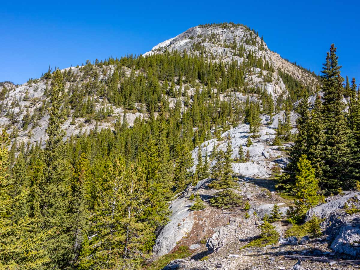 Path up to The Buckle on Windy Point Ridge Hike