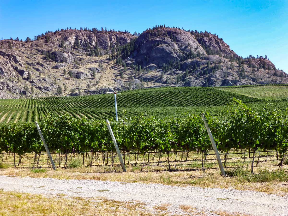 Okanagan wine country vineyards near Kelowna British Columbia Canada