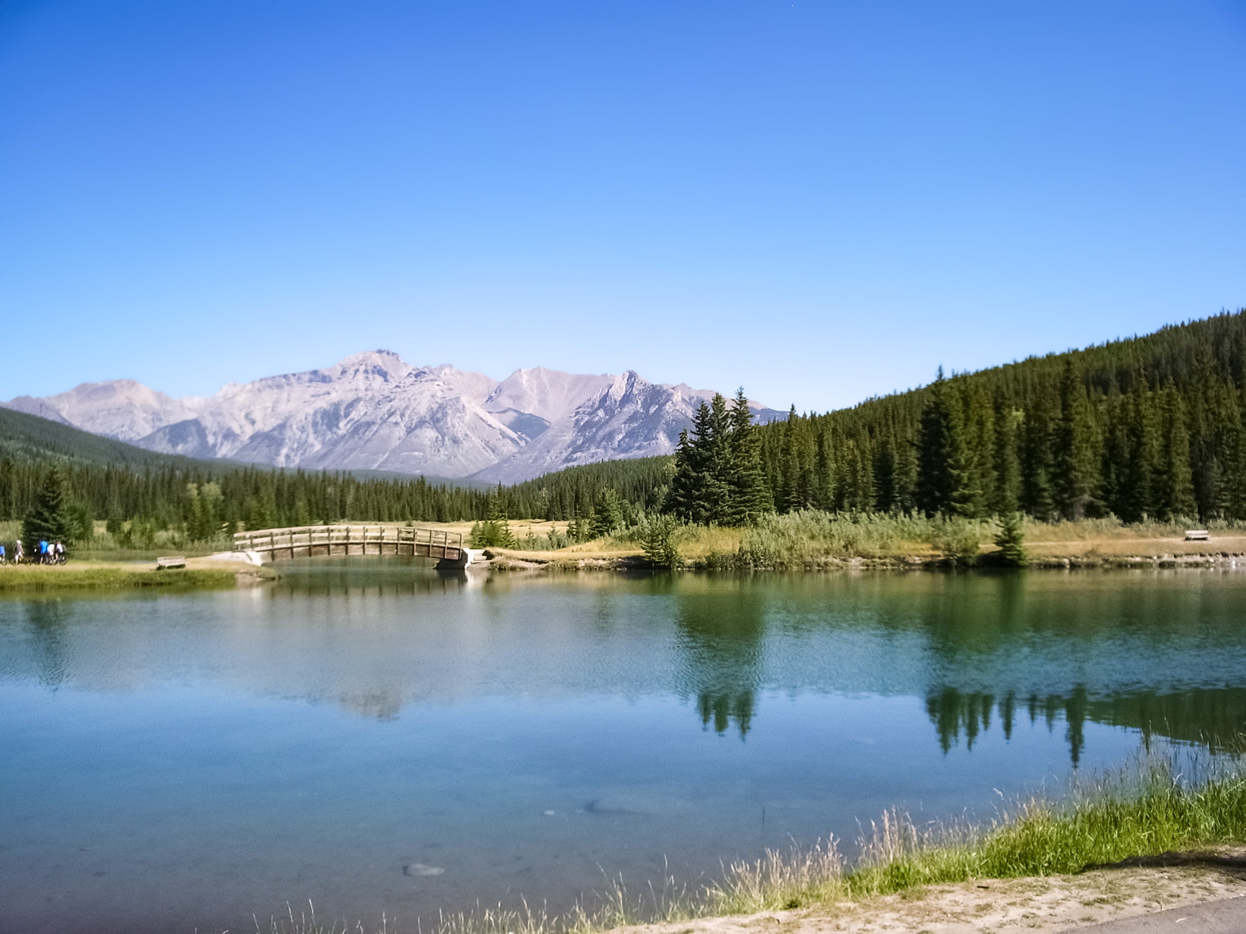 Walking bridge through Cascade Ponds marsh Banff National Park