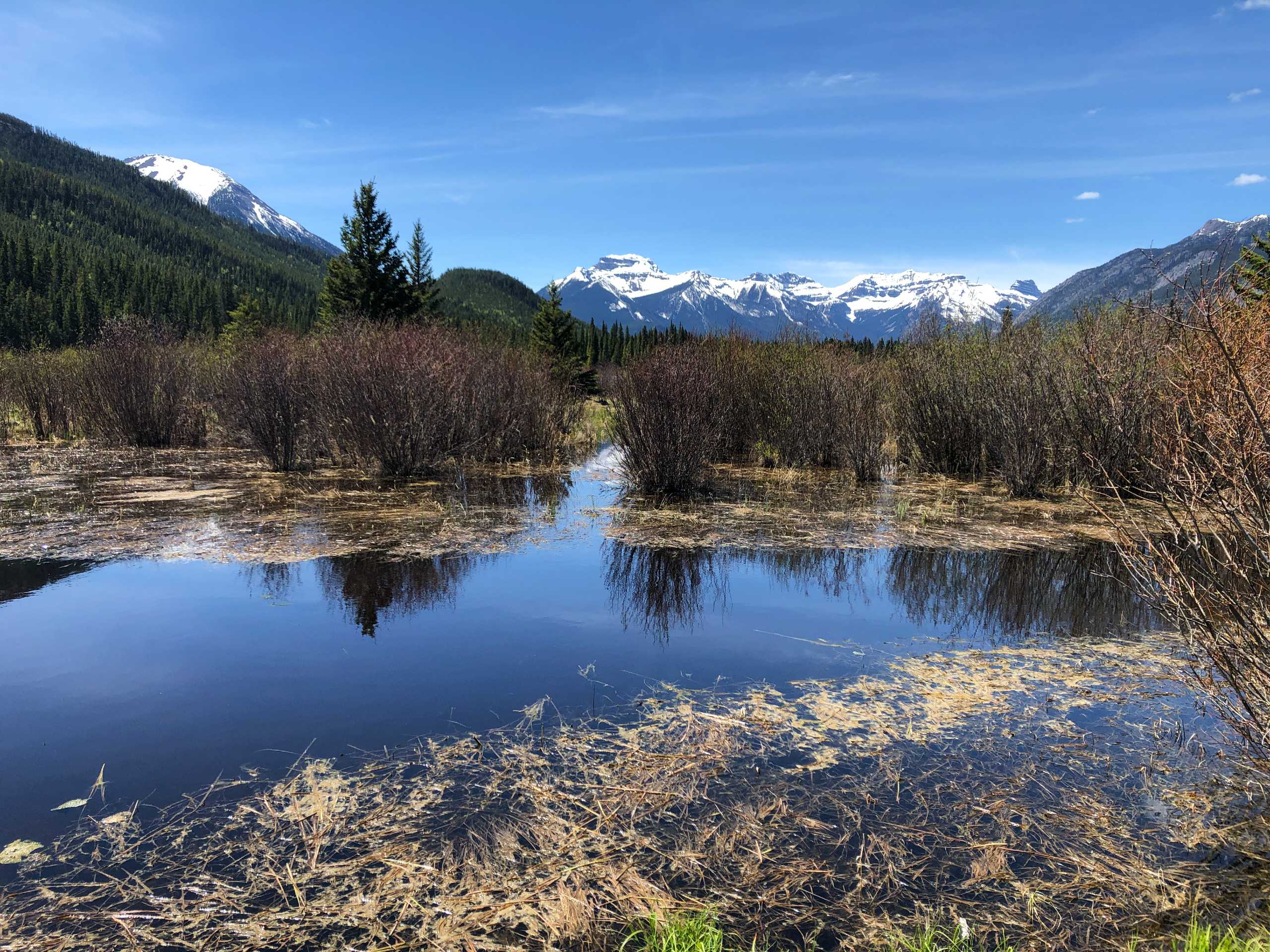 MARSH-LOOH-HIKE