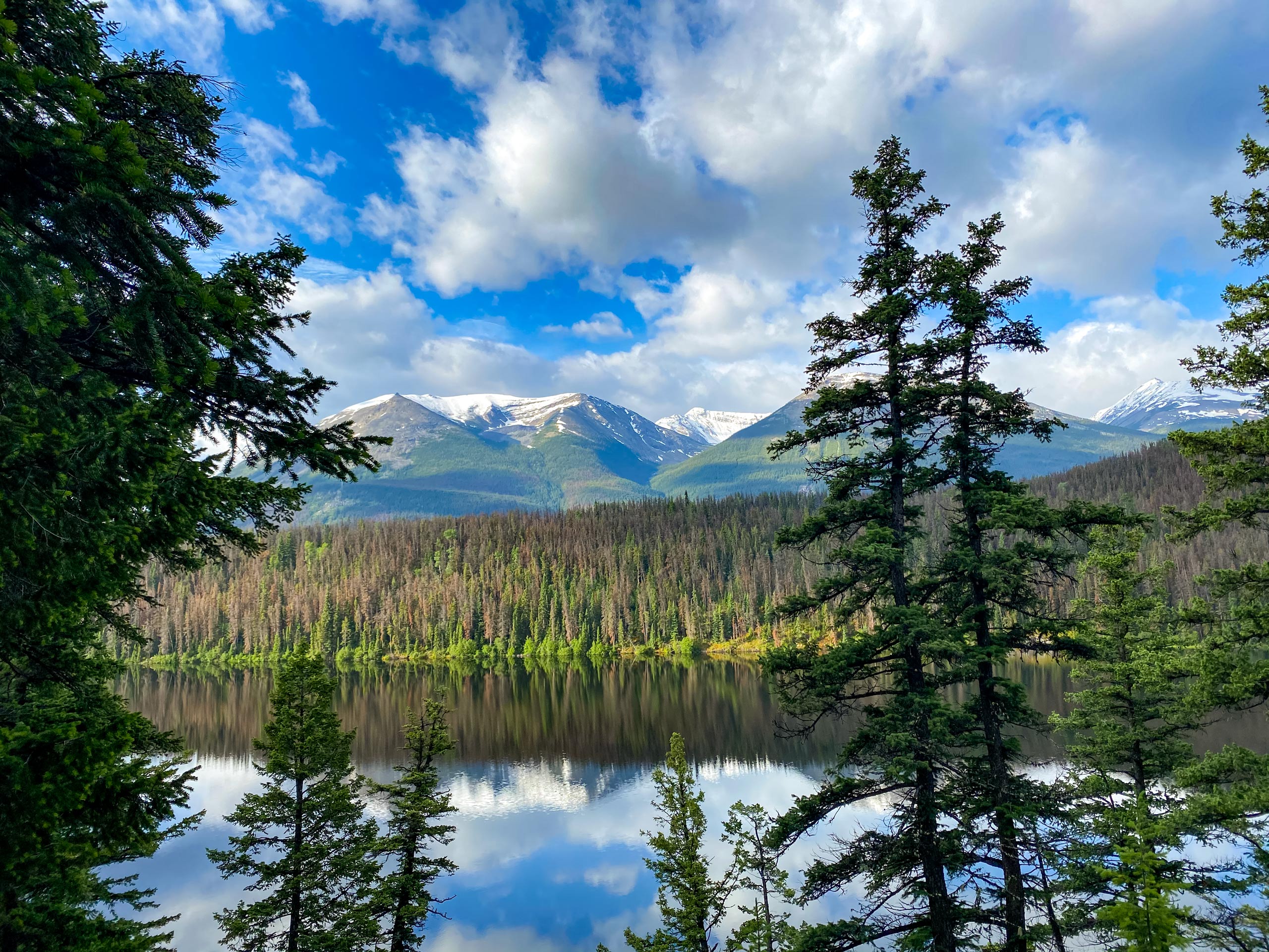 Saturday Night Lake in the beauticul Canadian forest Jasper Naitonal Park