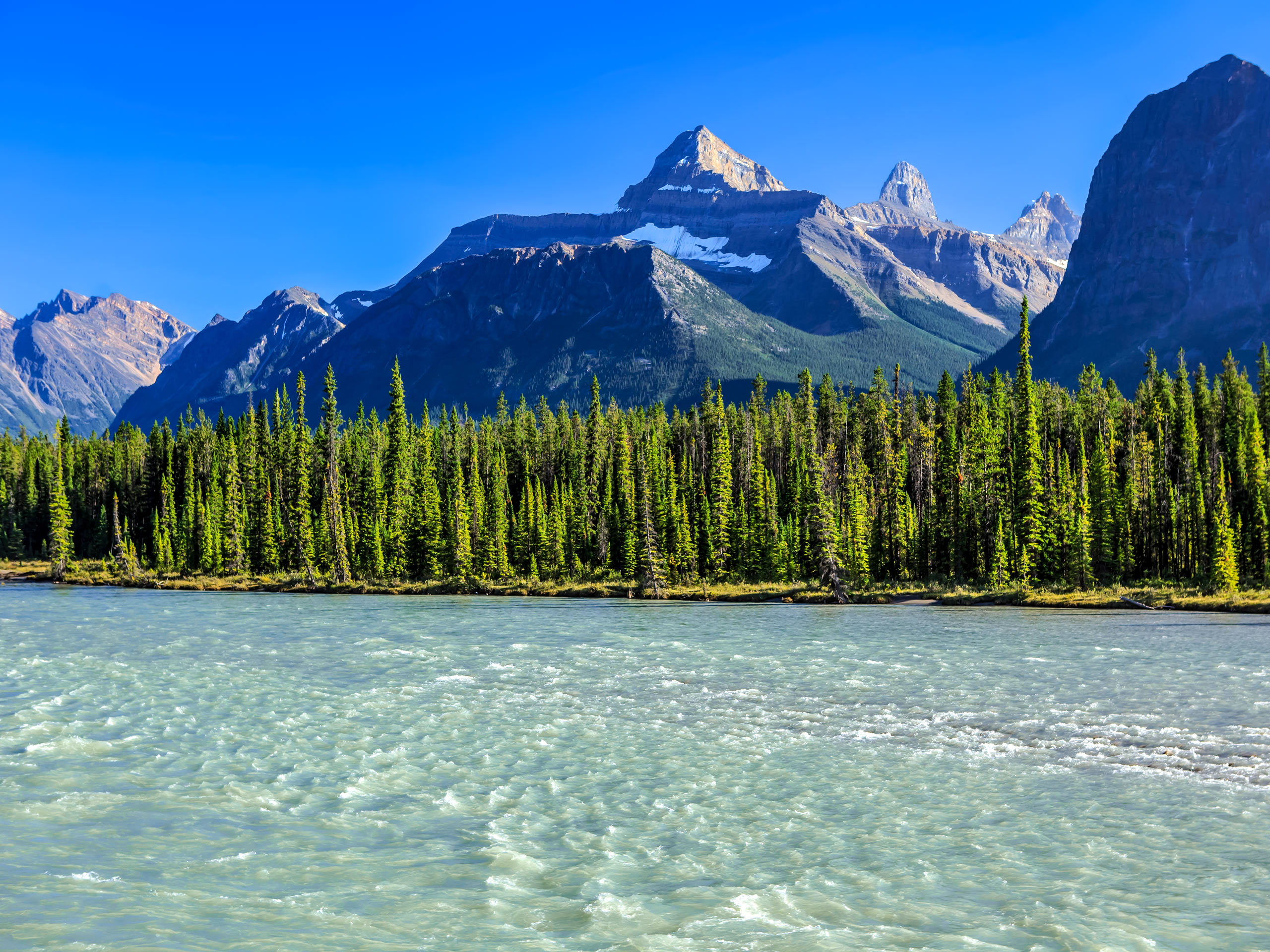 Aqua blue river running through Fryatt Valley forest in Jasper National Park forest