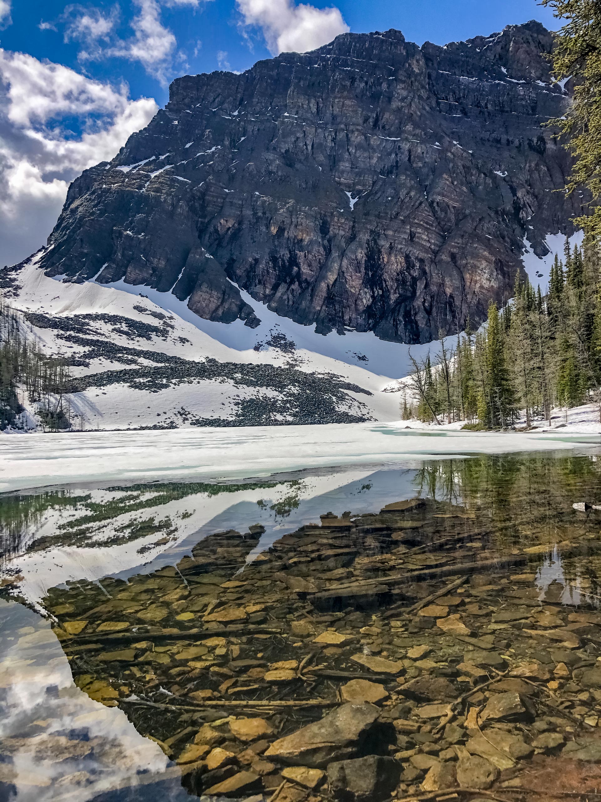 Arnica Lake