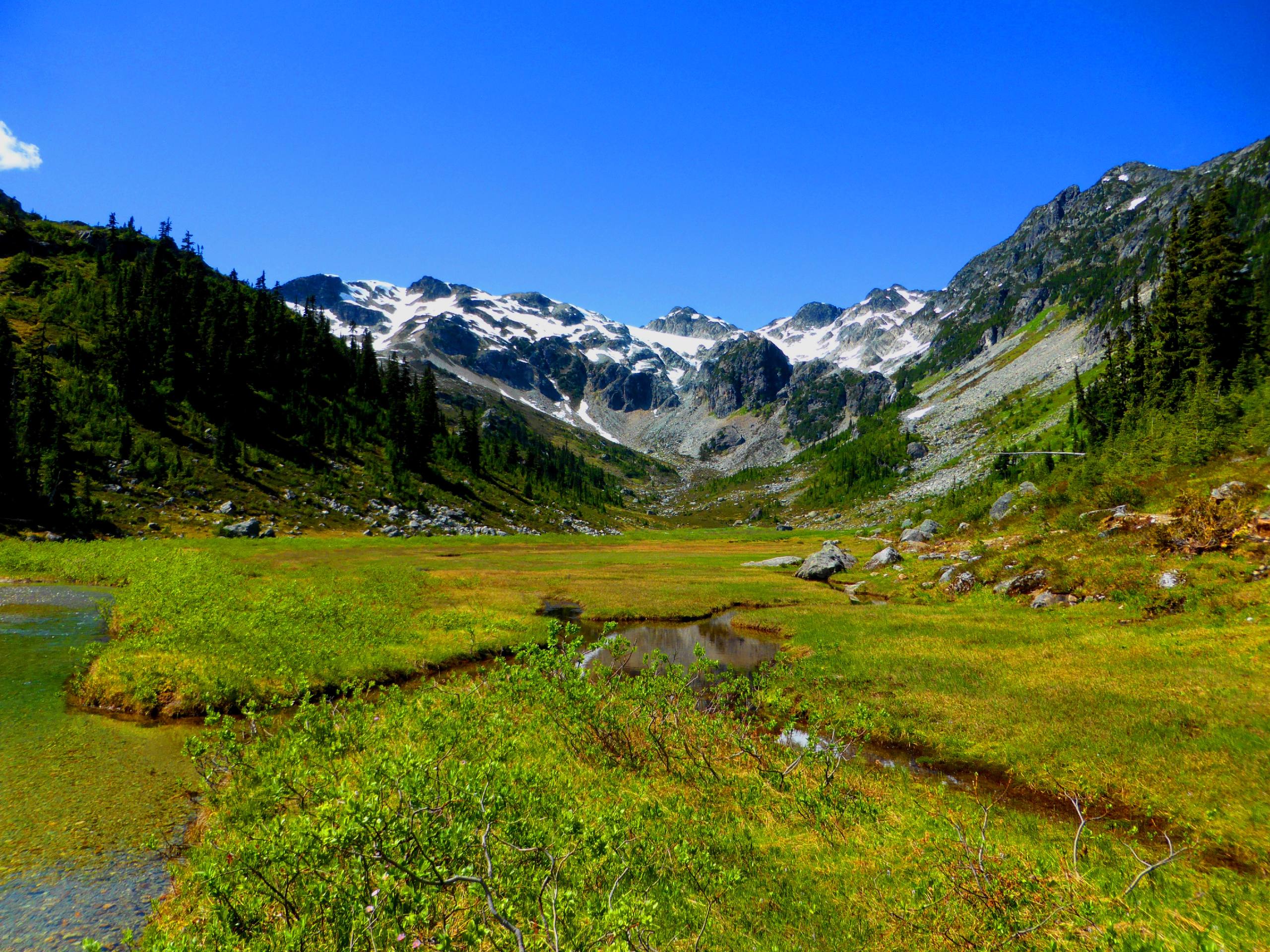 Brandywine Meadows