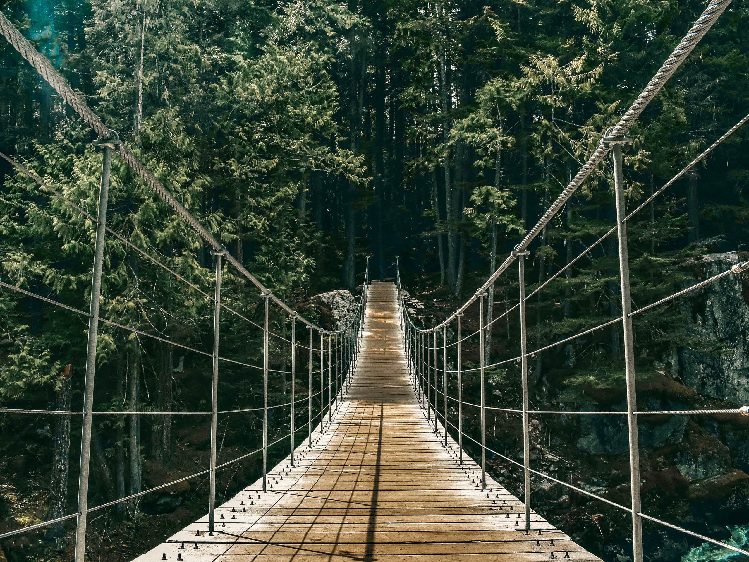 Suspension Bridge in the forest hiking Cheakamus River Trail