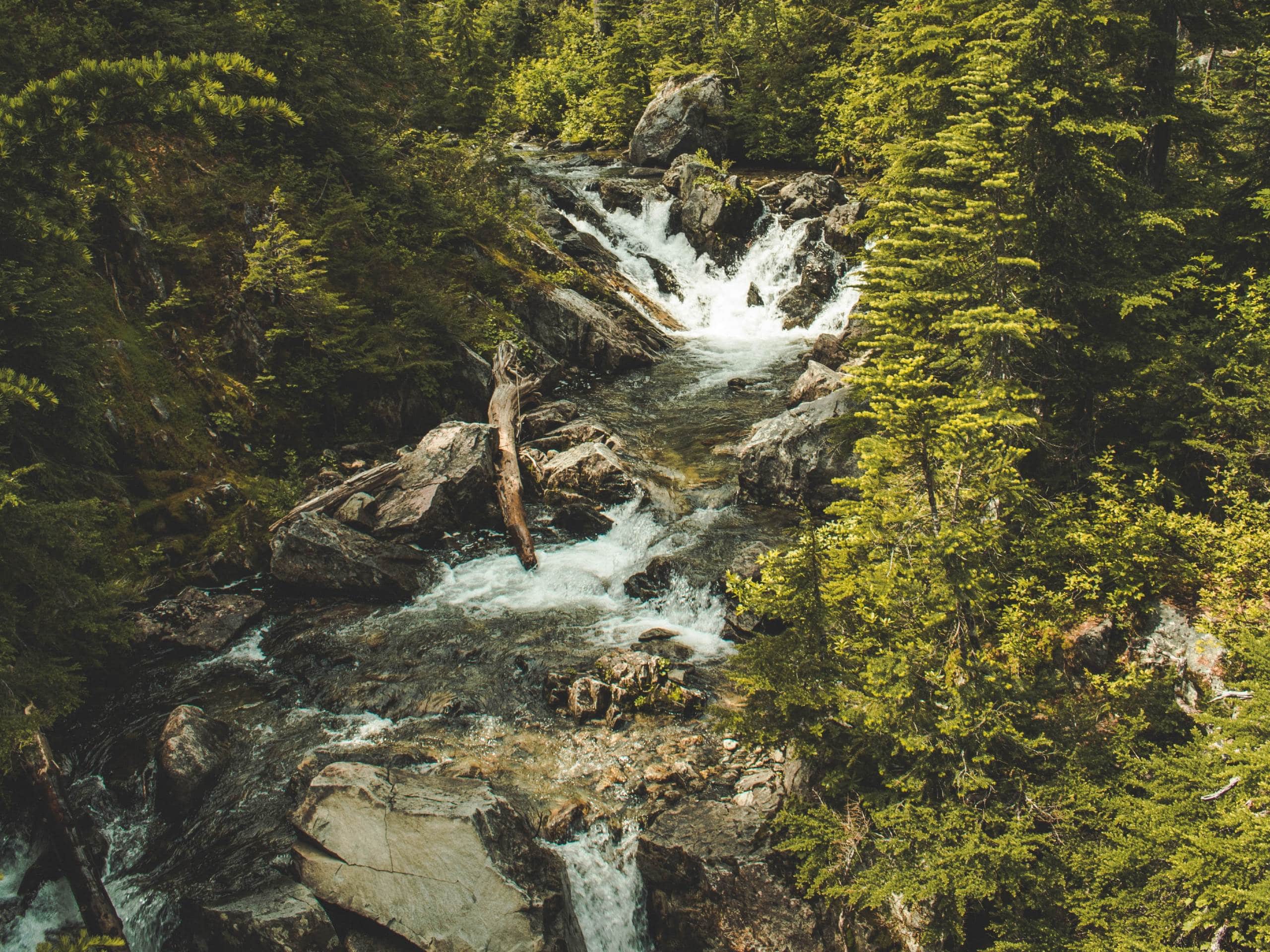 Rainbow Falls Loop