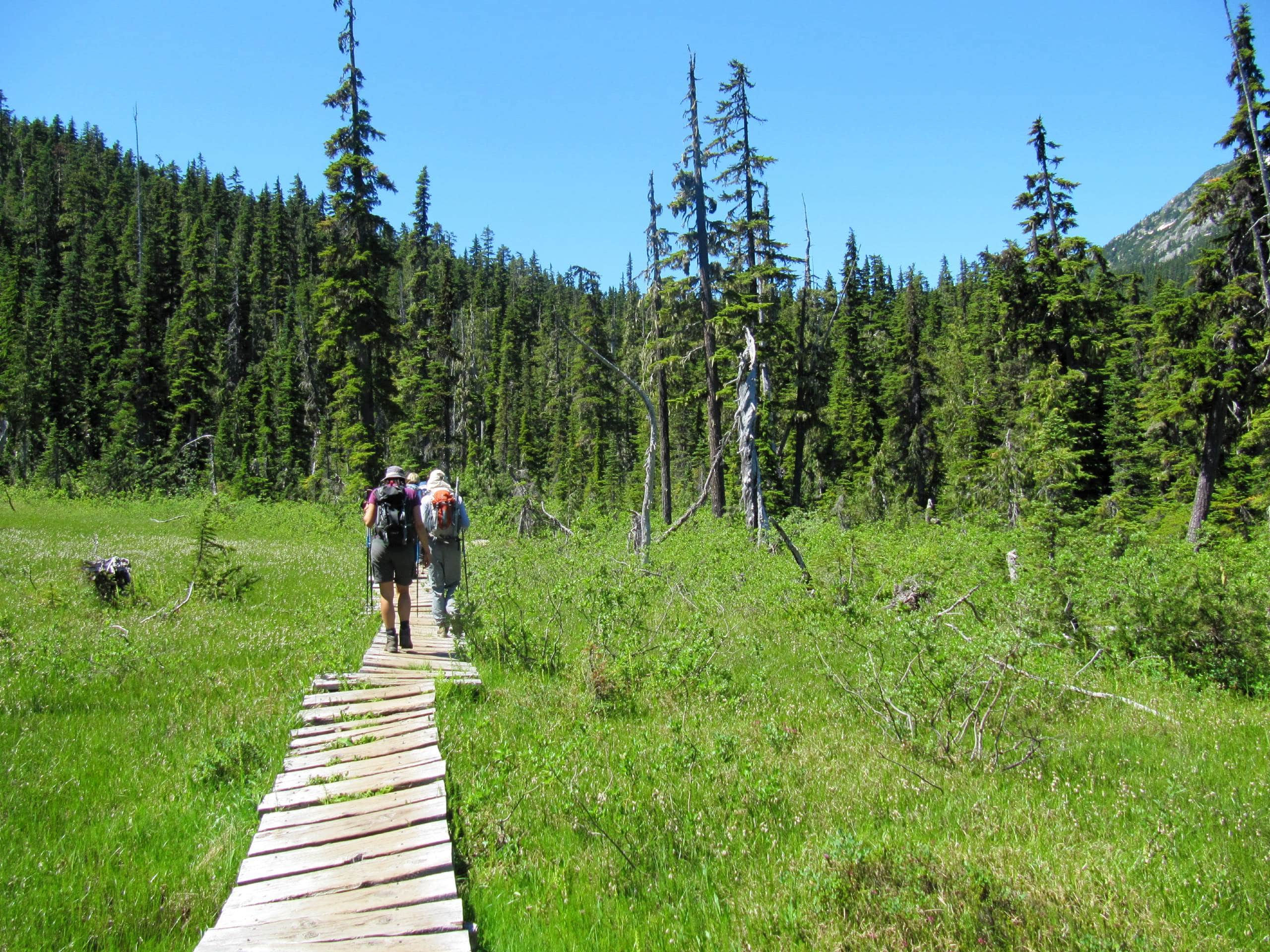 Rainbow Lake Trail