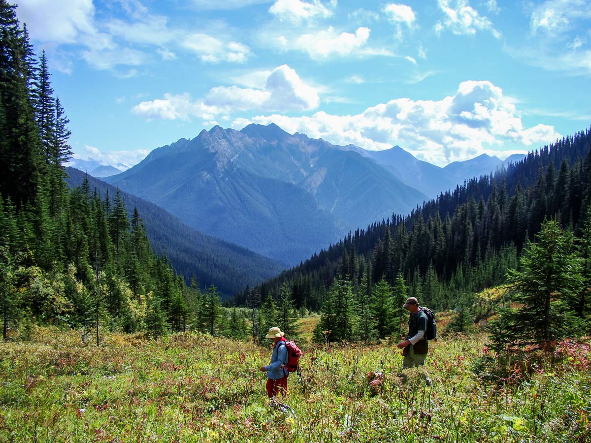 Kootenay National Park hikers crossing mountain field