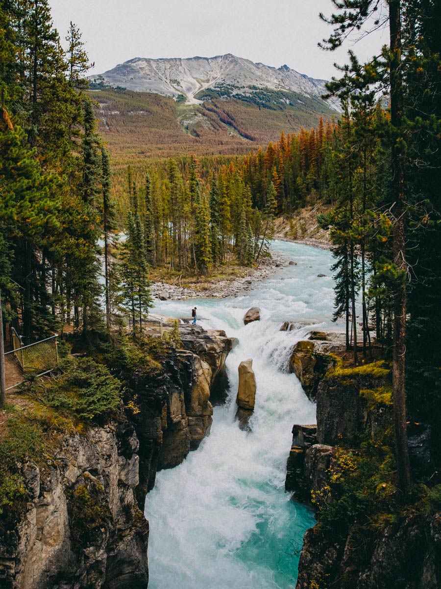 Sunwapta river, Jasper National Park