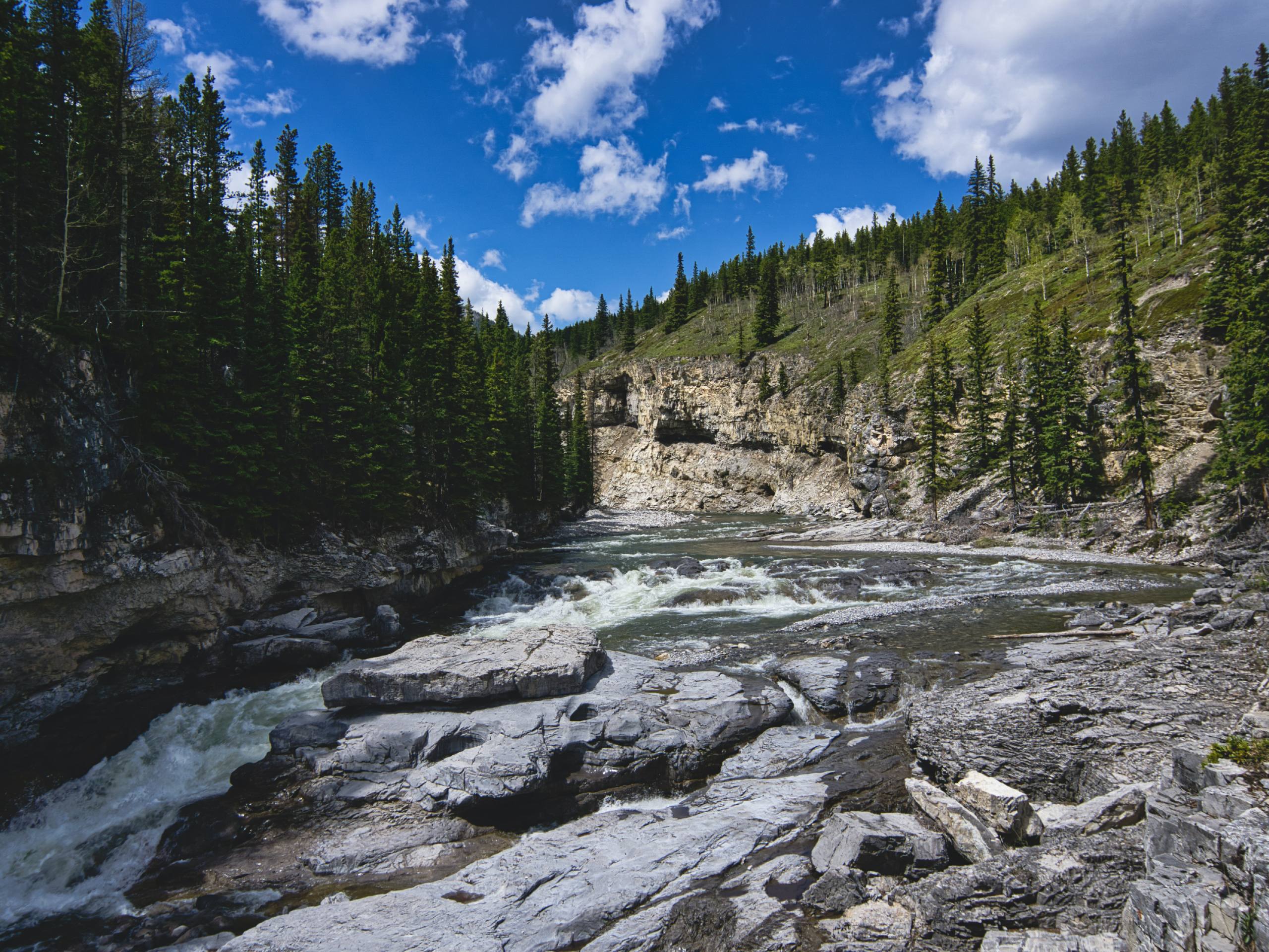 Great river views on the Elbow Falls Hike