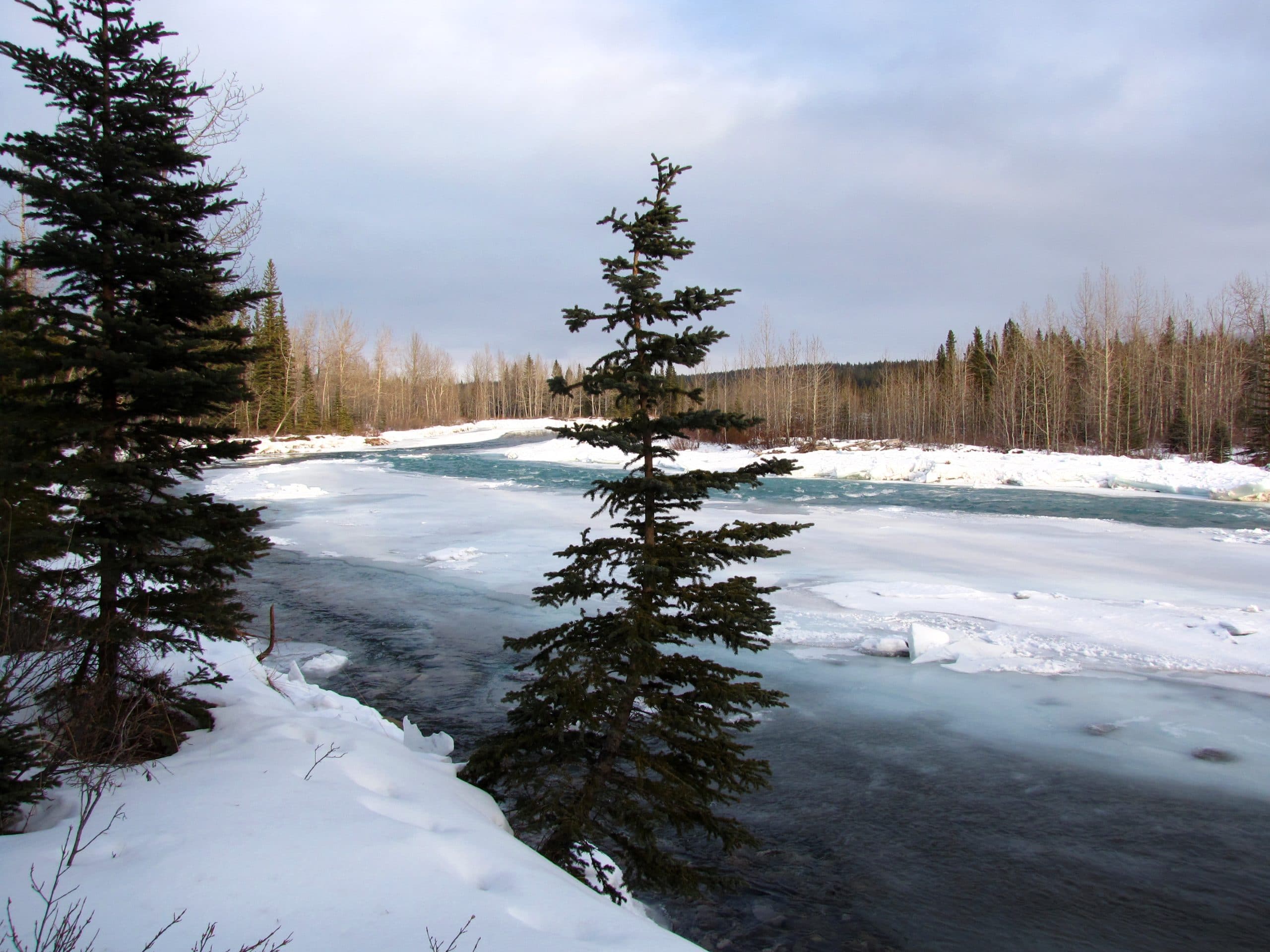 View of Elbow River