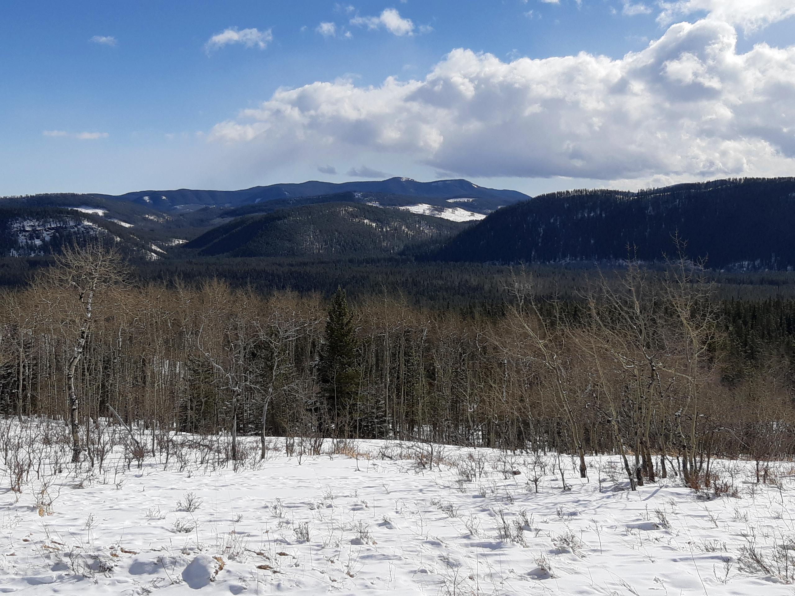 nice views on the Green Mountain trail