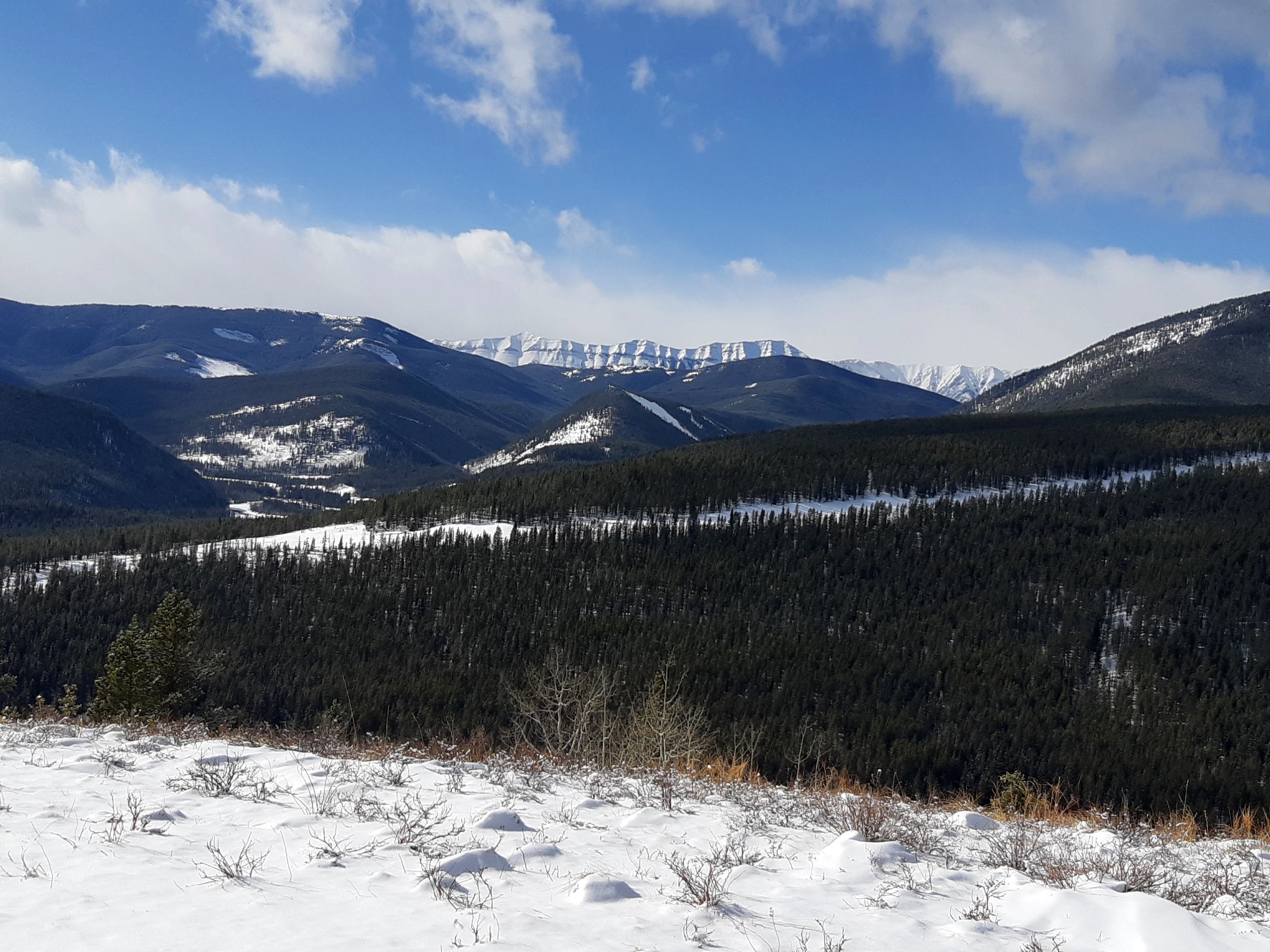 great mountain views on the Sulphur Springs Trail