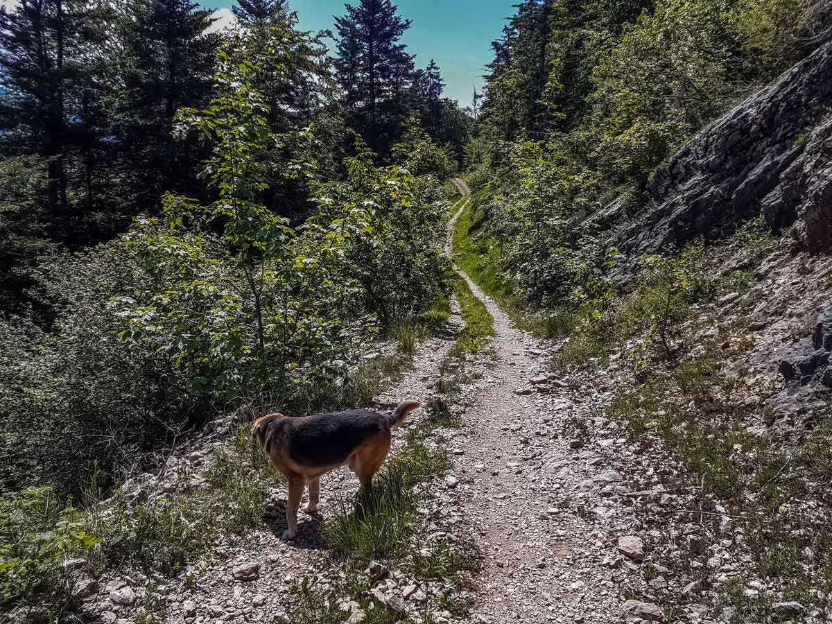 Gravel road to top hiking from Mont Veyrier to Mont Baron in France