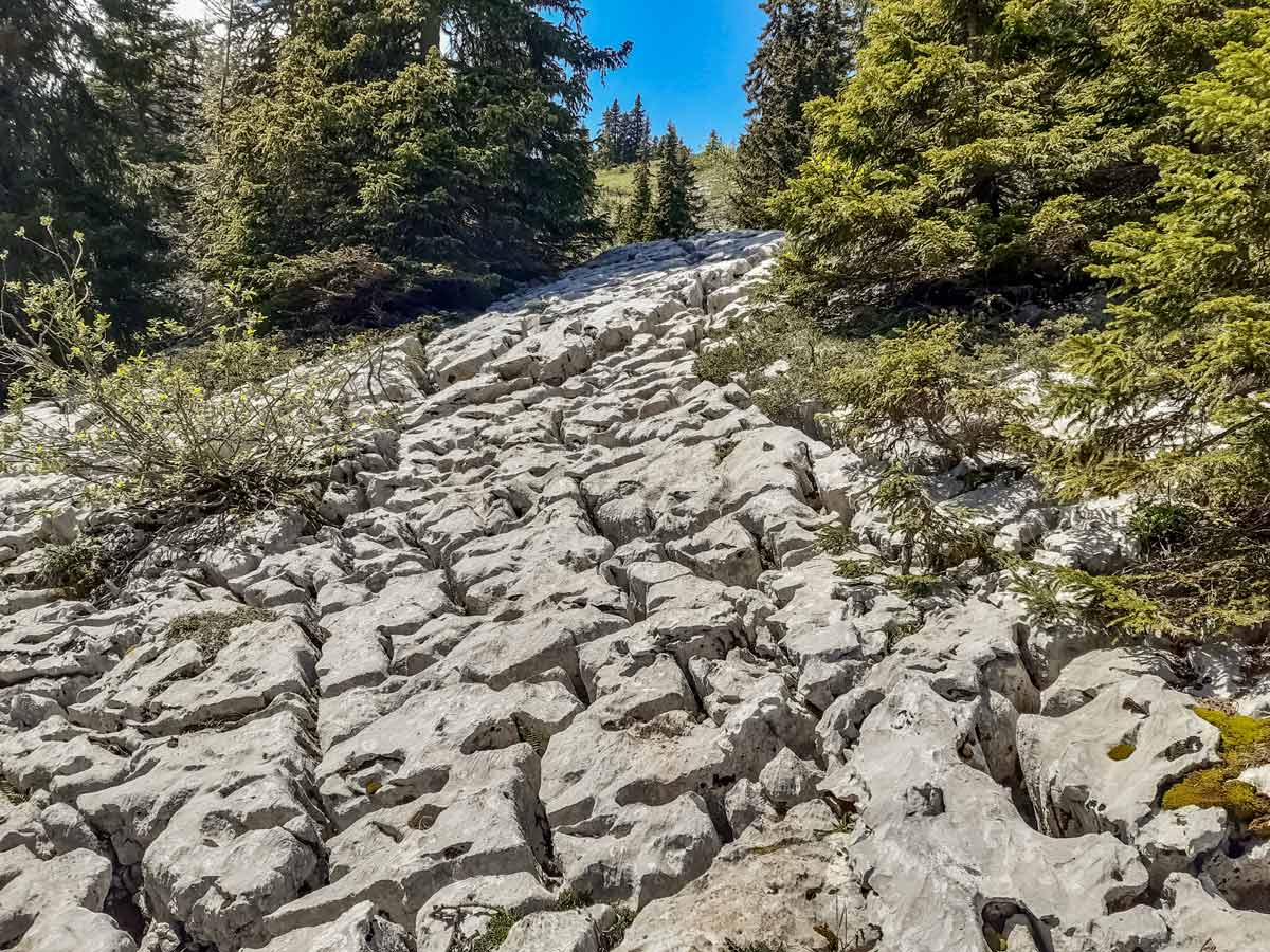 Limestone climb 3 tetes Plateau des Gileres hiking France