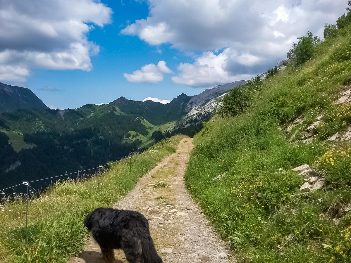 Bombardellaz road past refuge seen hiking in France