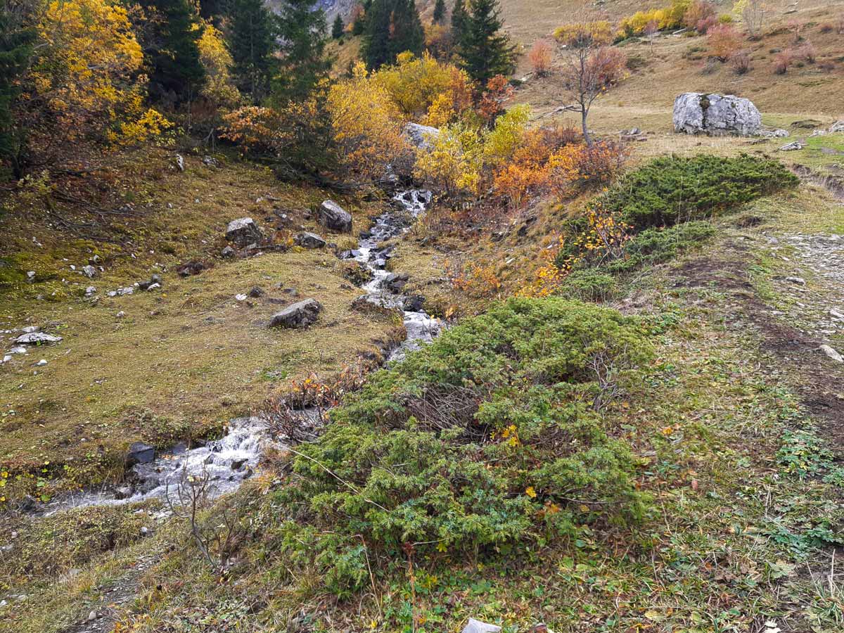 Pretty stream Col Des Aravis hiking trails in France