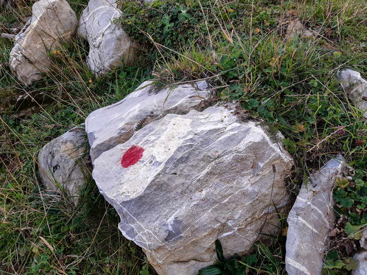 Trail marked rock seen hiking Lac de Lessy trail France