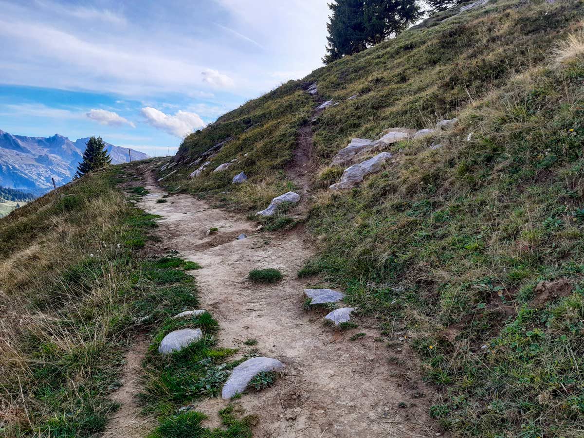 Trail split for steep way up hiking Lac de Lessy trail France