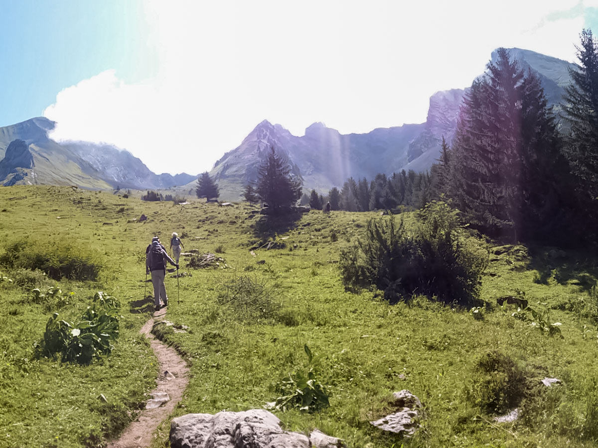 First field after forest hiking Lac du Mont Charvin trail France