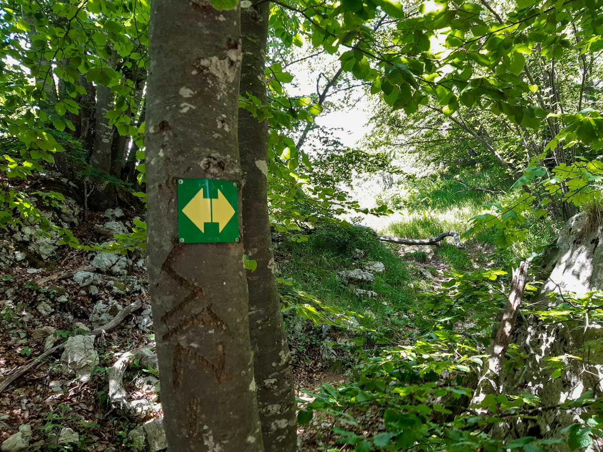 Yellow arrows hiking from Mont Veyrier to Mont Baron in France