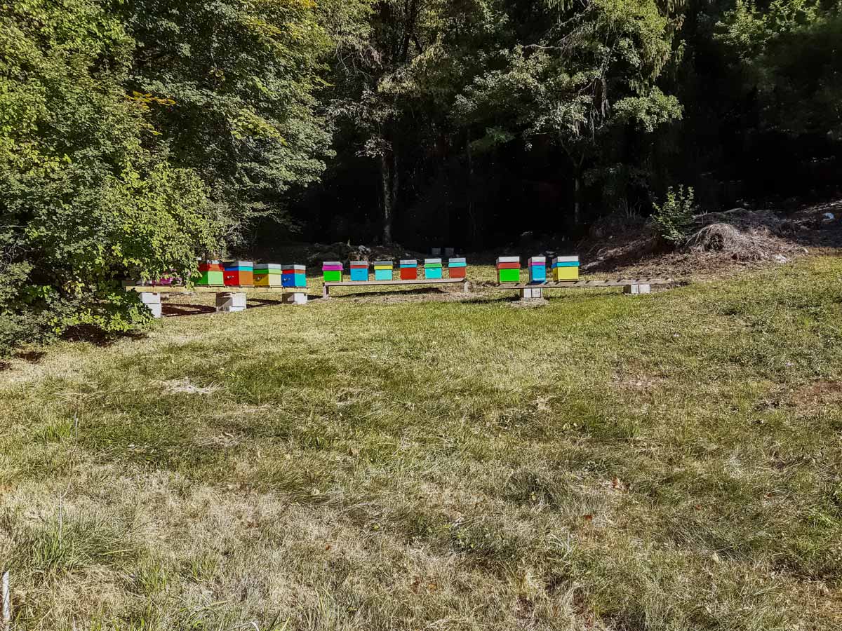 Beehives honey farming seen hiking Morette Falls trail France