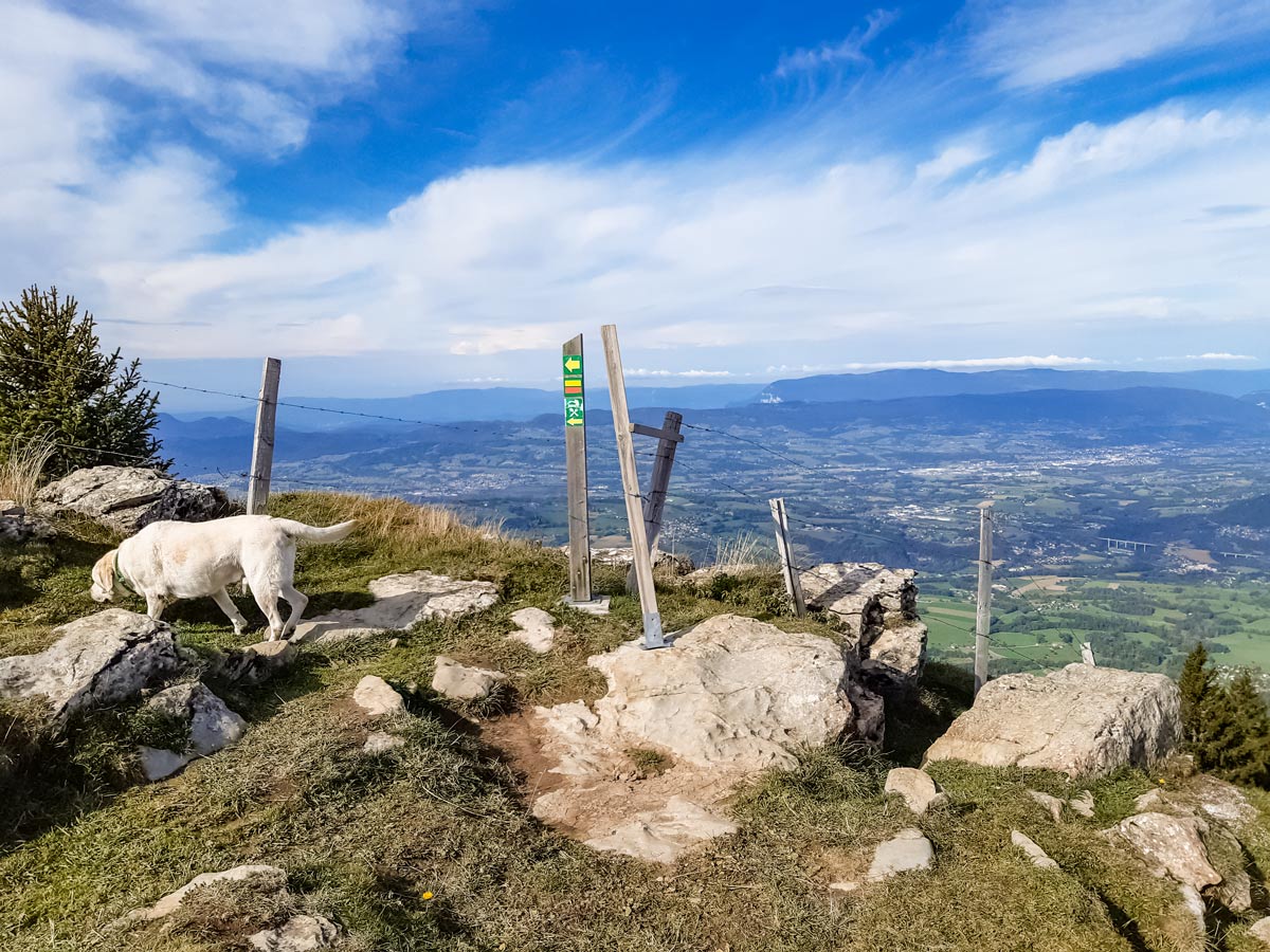 Wooden post trail marker along Semnoz hike in France