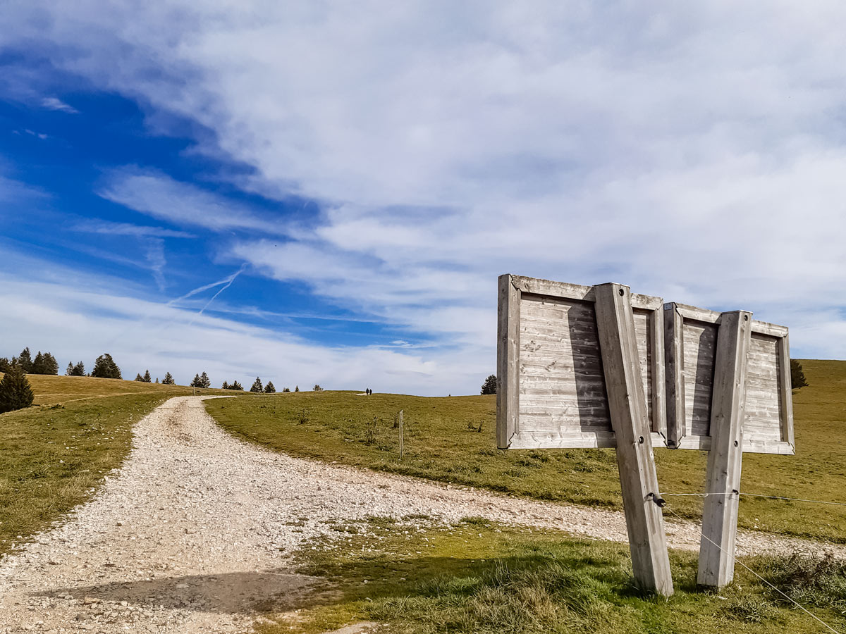 Crossroad with large wodoen sign along Semnoz hike in France