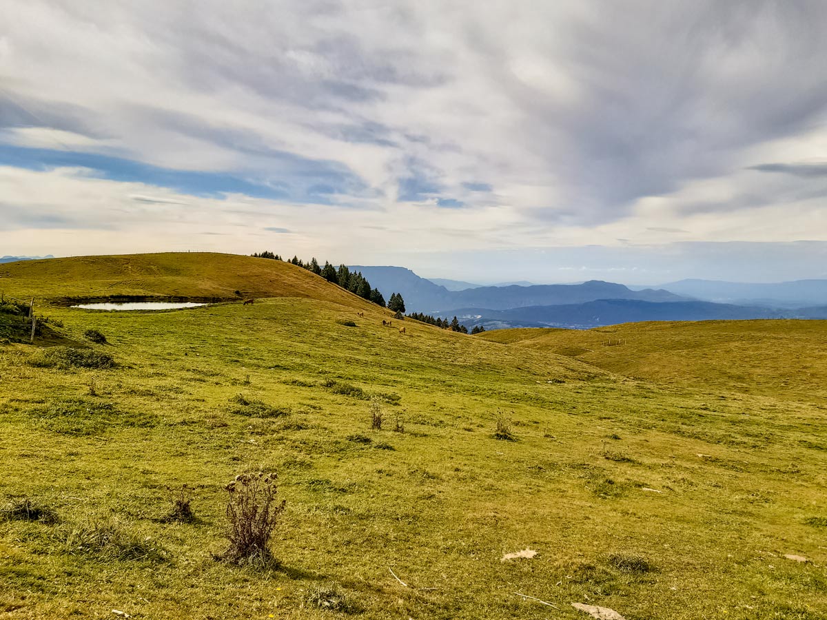 Cow pasture and lake along Semnoz hike in France