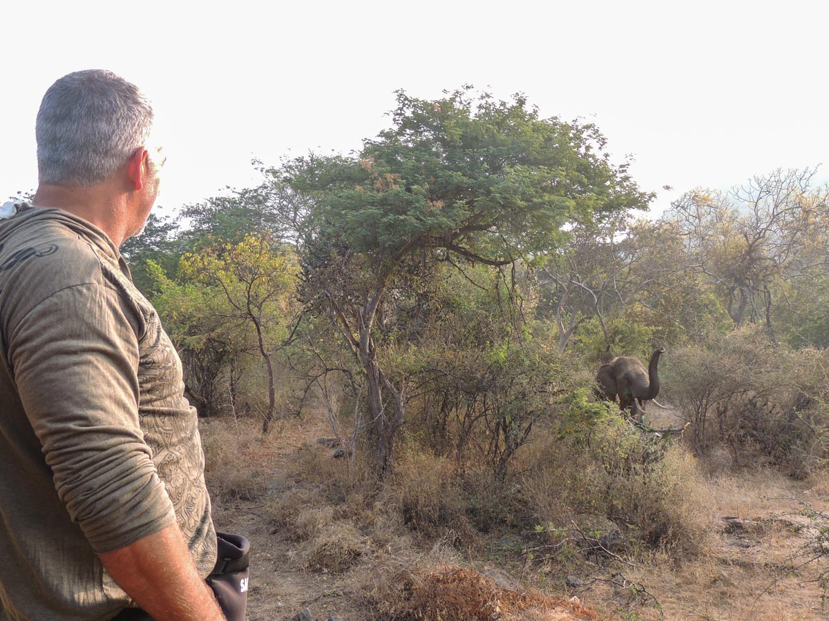 Hikers spot young elephant on SW Ghats India hiking trail