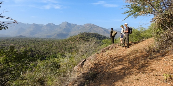 Chinnar Bush Walk and Elephant Trail